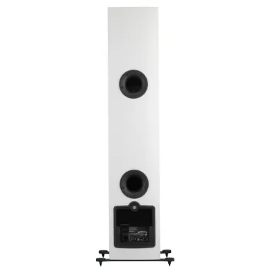 Активная напольная акустика Dali RUBICON 6 C white